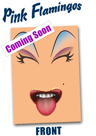 Pink Flamingo's Interactive Card £4.99